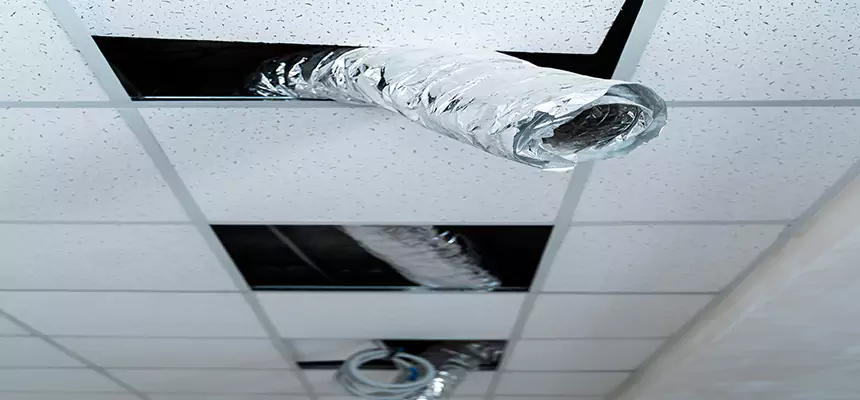 Our Air Duct Pet Hair Removal Services in Snellville, GA