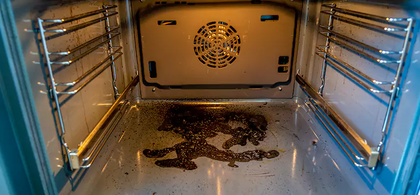 Our Dryer Vent Mold Cleaning Services in Snellville, GA