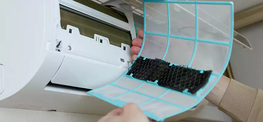 Gentle Ductwork Odor-Control Pet Dander Duct Cleaning in Snellville, GA