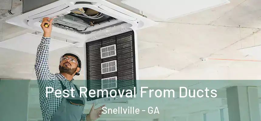 Pest Removal From Ducts Snellville - GA