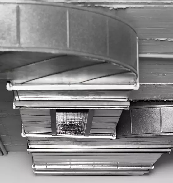 Professional Air Duct Pest Removal in Snellville, GA