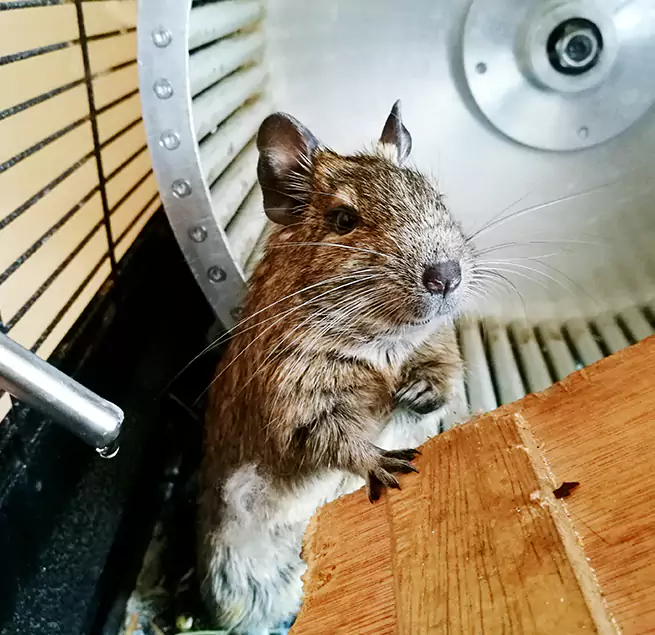 Why Homeowners & Businesses Trust Us Snellville, GA?